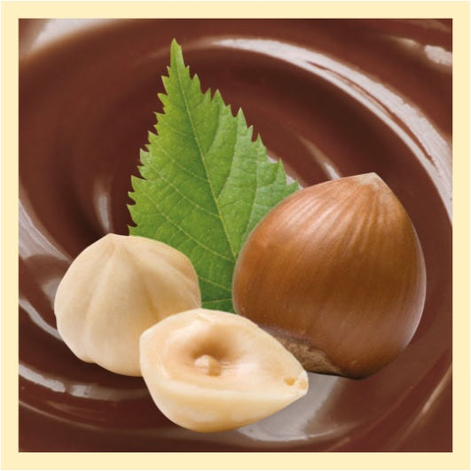 Hazelnut chocolate with grains in 32g single portions